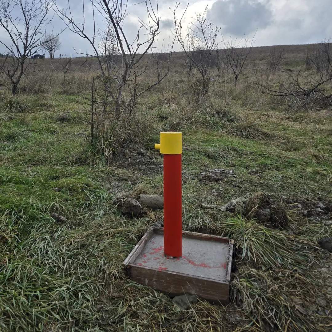 monitoring